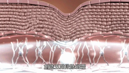 1.gif