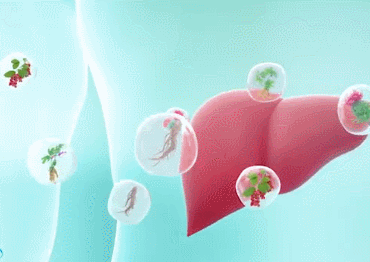 1702215773389025.gif