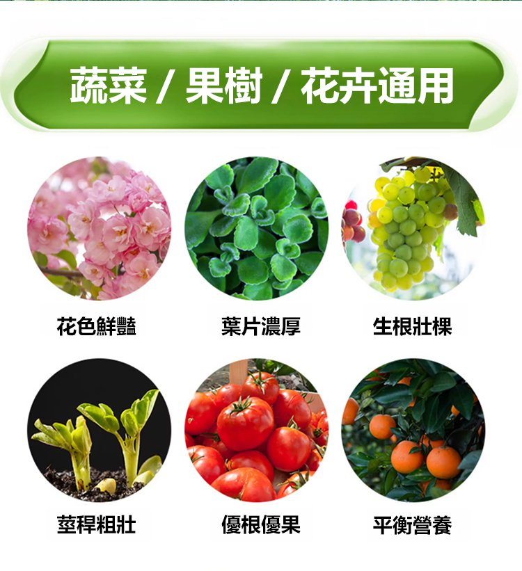91b20826bc9aa3a33ab683fec13a0c9.png