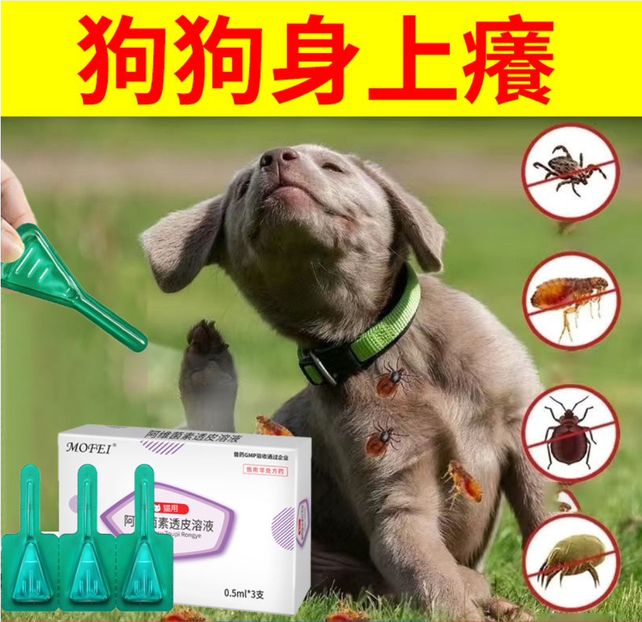 b8e26baf6742fe612774a842be7cec8.png