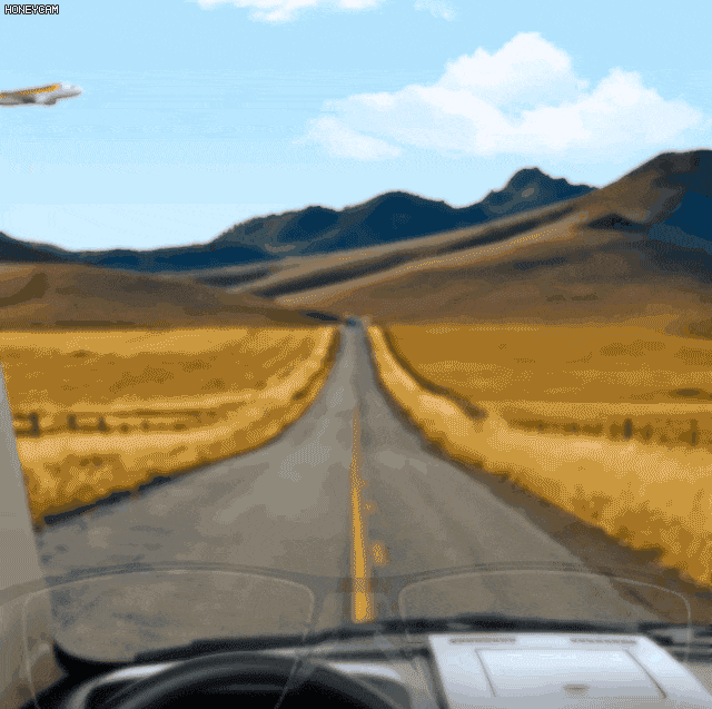 1717078184212824.gif