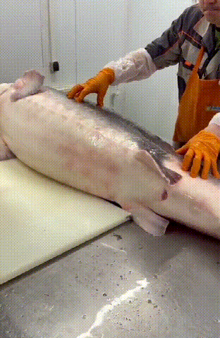 1766150647663747.gif 2024marpmd316dd7ee3b5897ae7d4f51.gif
